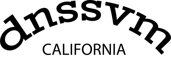 dnssvm